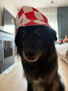 380d8c8b-8716-436e-bd44-67804b434059