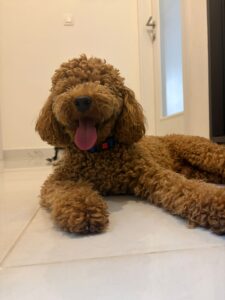 48fc48ac-4973-4928-b72c-e8499317c367