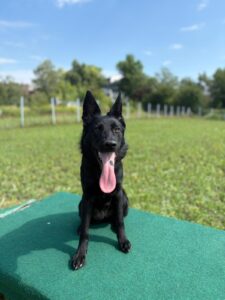 92c4092c-344a-479b-a03c-31aefdb84385